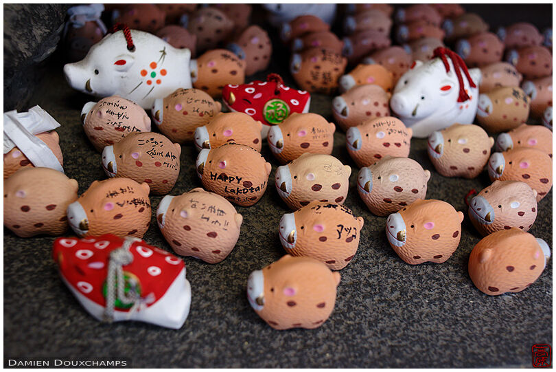 Small wild pig porcelains as votive offerings in Marishisonten-do temple