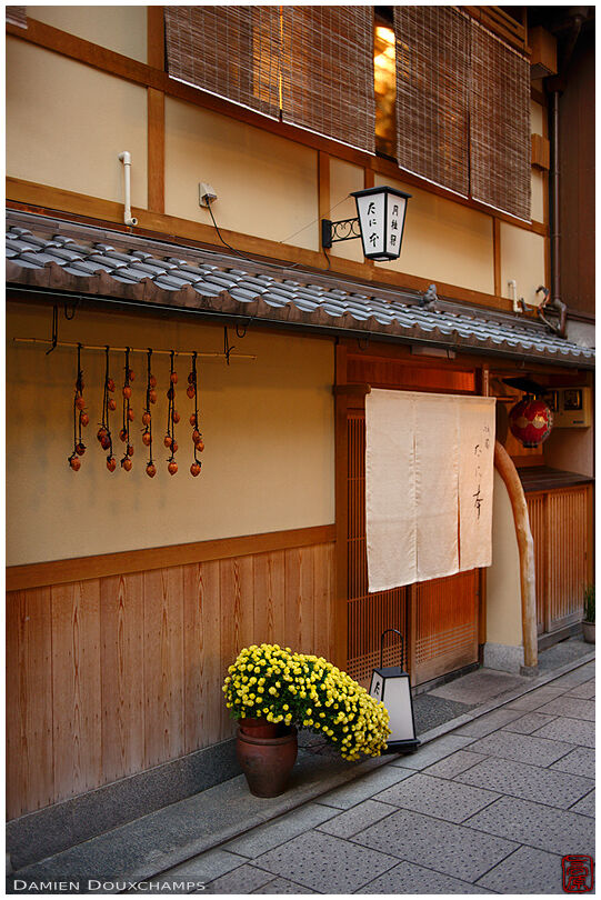 Restaurant entrance with drying persimmons in Gion