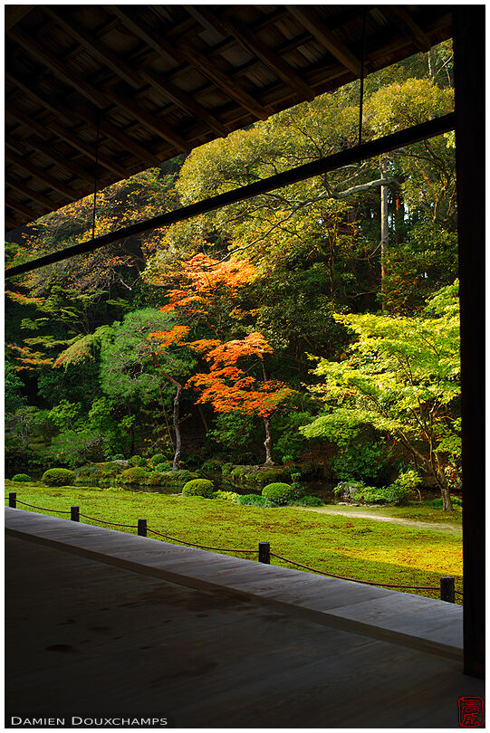 Early autumn in the small moss garden of Nanzen-in temple