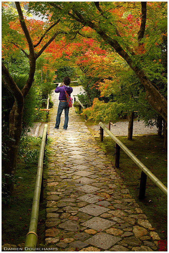 Taking pictures on the entrance path to Koetsu-ji temple