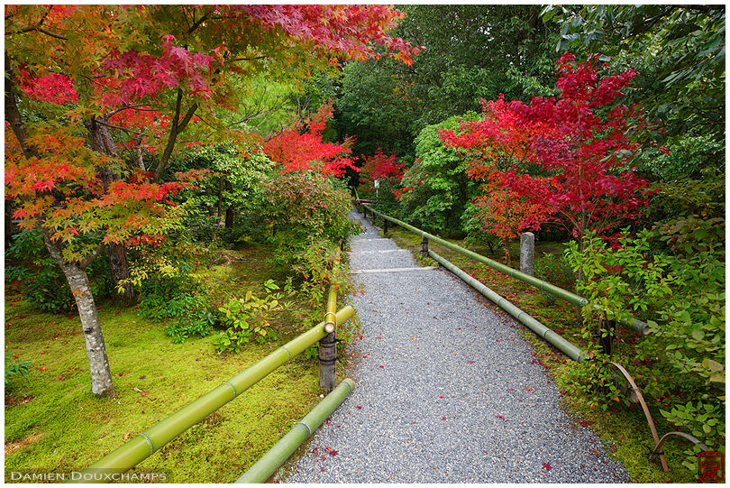 Autumn colours in Koetsu-ji temple gardens