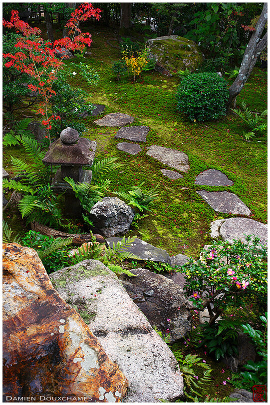 Step stones in moss garden, Daiho-in temple