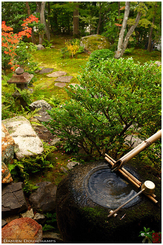 Tsukubai water basin in zen garden, Daiho-in temple