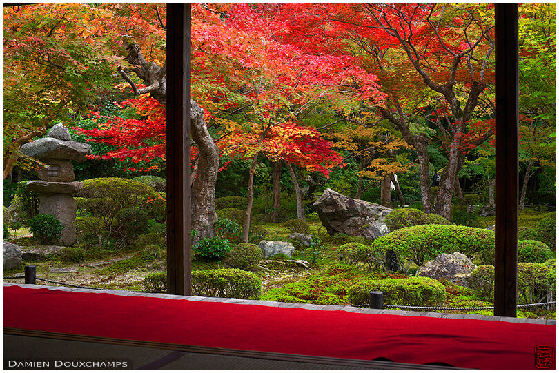 Zen garden in autumn from meditation hall, Enko-ji temple (3/4)