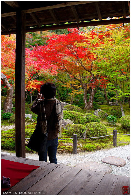 Keitai photographer in Enko-ji temple