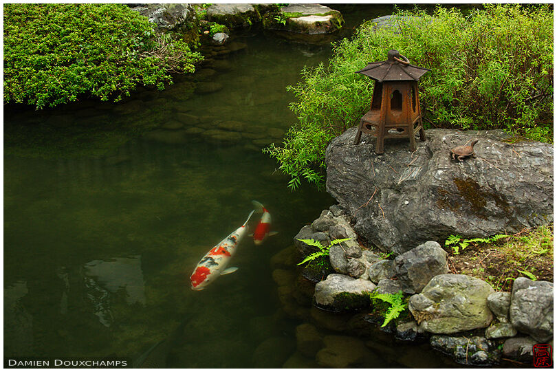 Stone lantern and carps, Namikawa Cloisonne Museum garden