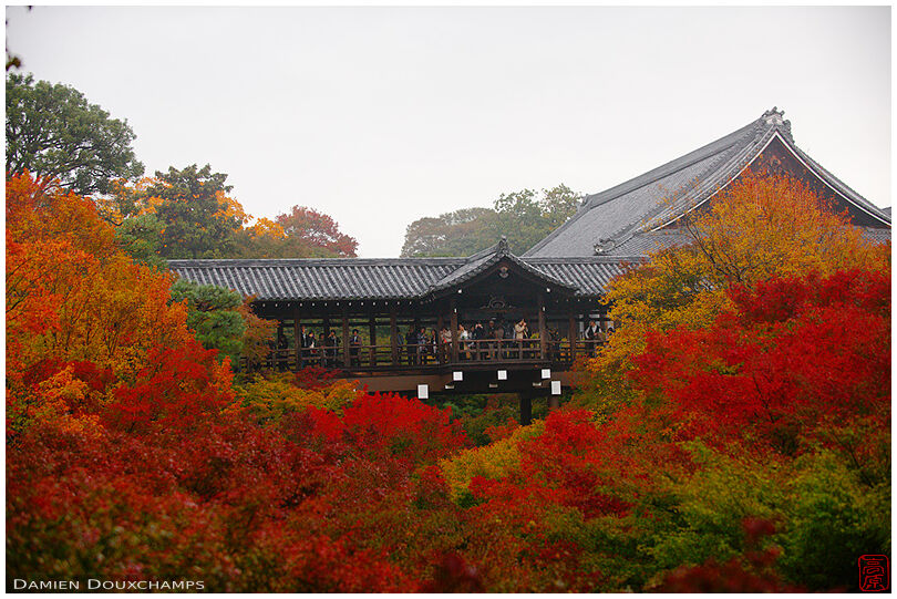 Wooden bridge surrounded by autumn colours, Tofuku-ji temple