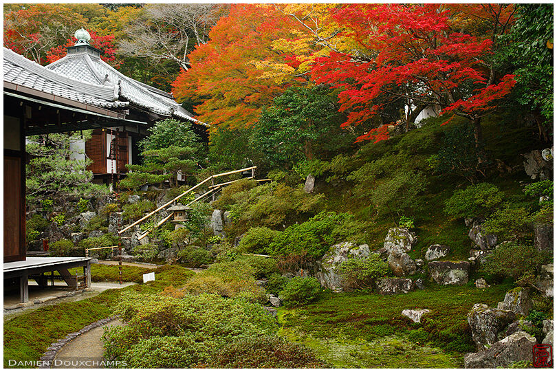 Rock garden in autumn, Reikan-ji temple