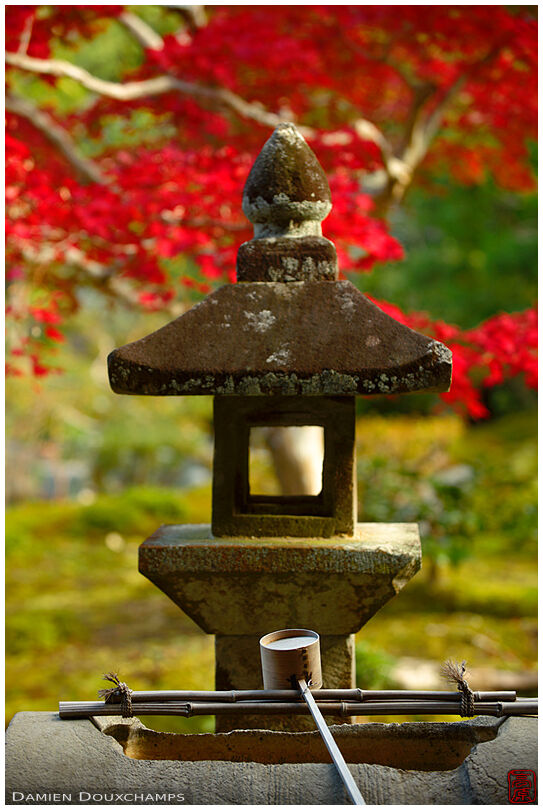 Stone lantern and tsukubai water basin in autumn, Kouun-ji temple