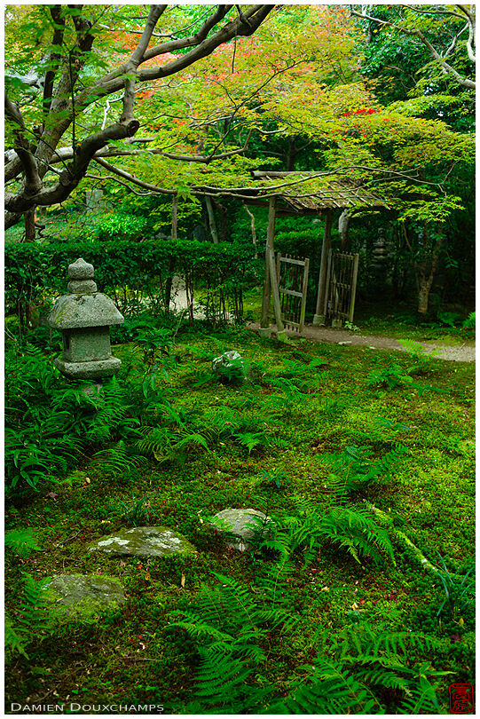 Stone lantern in moss garden, Enri-an temple
