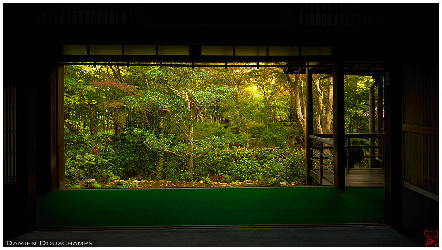 Forest surrounding meditation hall, Jikishi-an temple