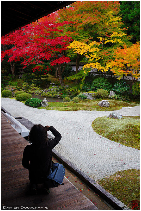 Tourist photographing Senyu-ji temple zen garden in autumn