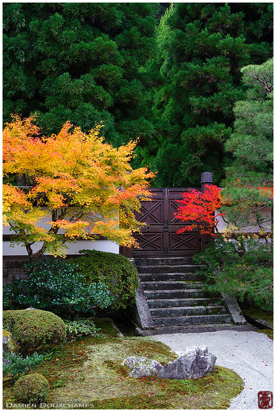 Bright autumn colours in zen garden, Senyu-ji temple