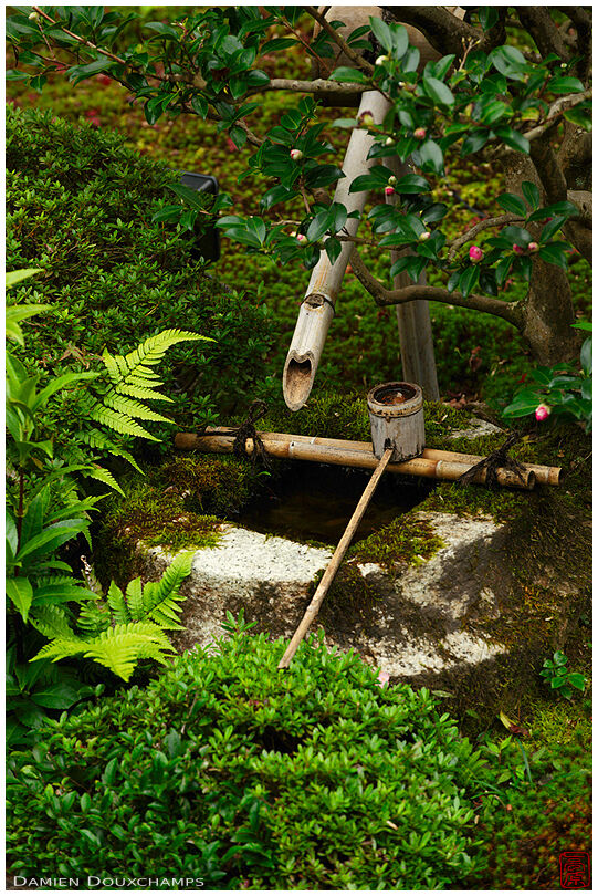 Tsukubai water basin with bamboo ladle, Unryu-in temple