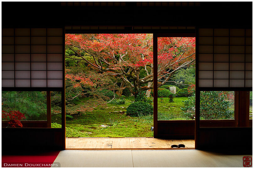 Zen garden in autumn, Unryu-in temple