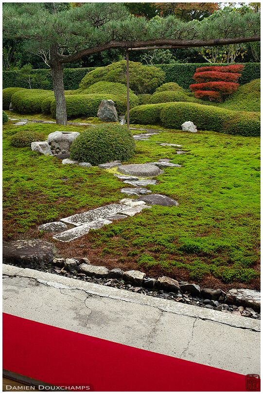 Ikkai-in temple moss garden