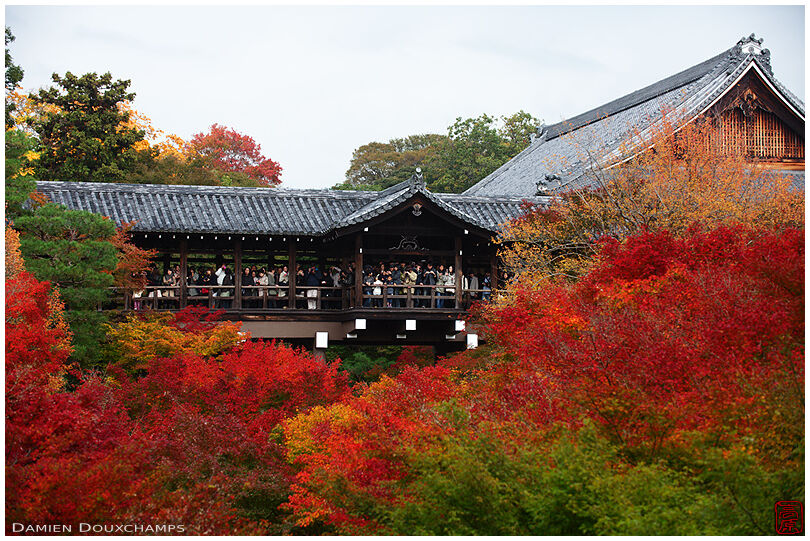 Crowded bridge with autumn colours, Tofuku-ji temple