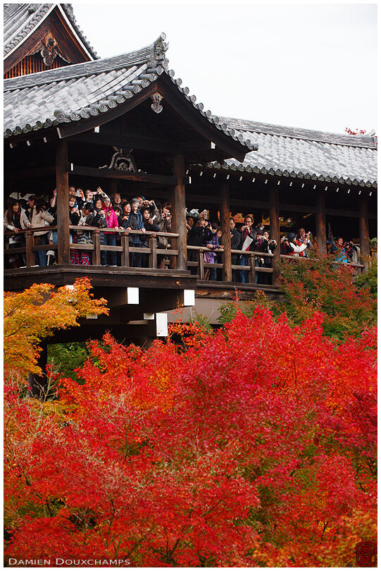 Bridge crowded with tourists enjoying autumn colours, Tofuku-ji temple