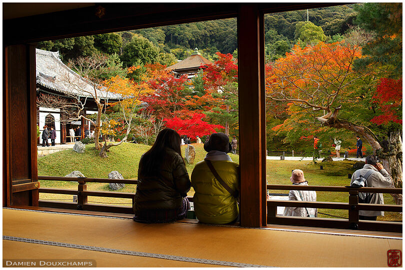 Tourists admiring zen garden in autumn, Kodai-ji temple