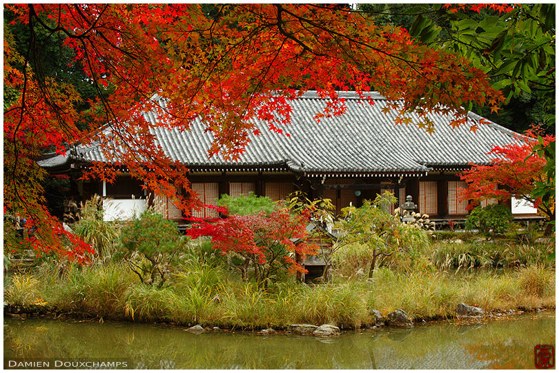 Jōruri-ji (浄瑠璃寺)