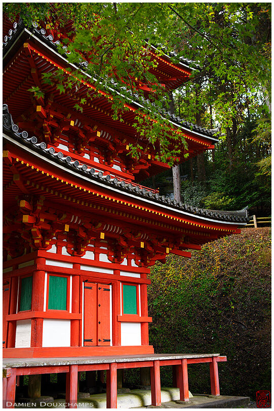 Red pagoda in Ganzen-ji temple