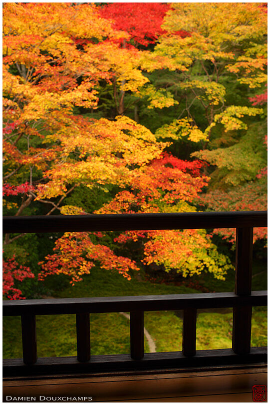 Autumn colours from balcony, Ruriko-in temple