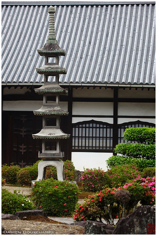 Stone pagoda lantern and blooming azalea in Kosho-ji temple, Kyoto, Japan