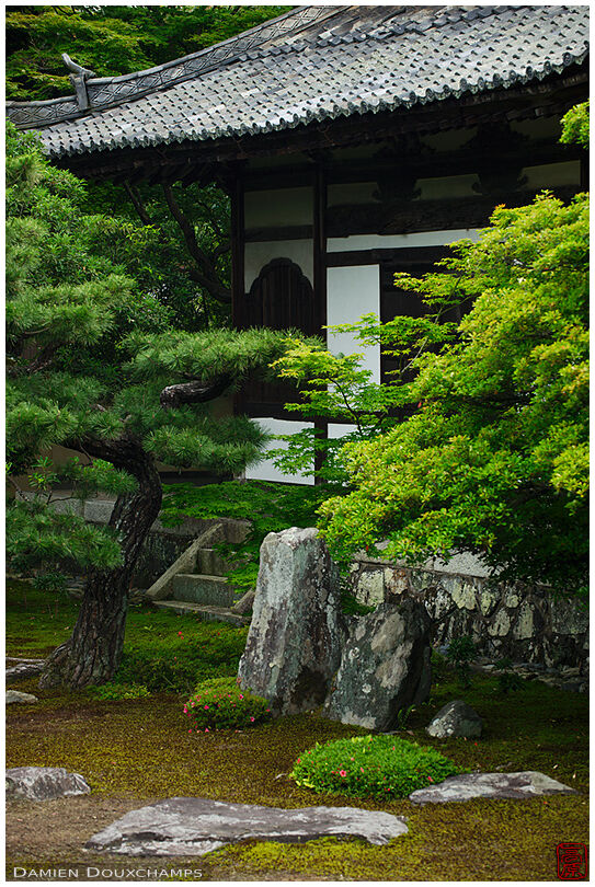 Pavilion surrounded by green colours ion Rokuo-in temple gardens, Kyoto, Japan