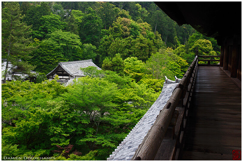 View on the new spring leaves from the balcony of the main gate of Nanzen-ji temple, Kyoto, Japan