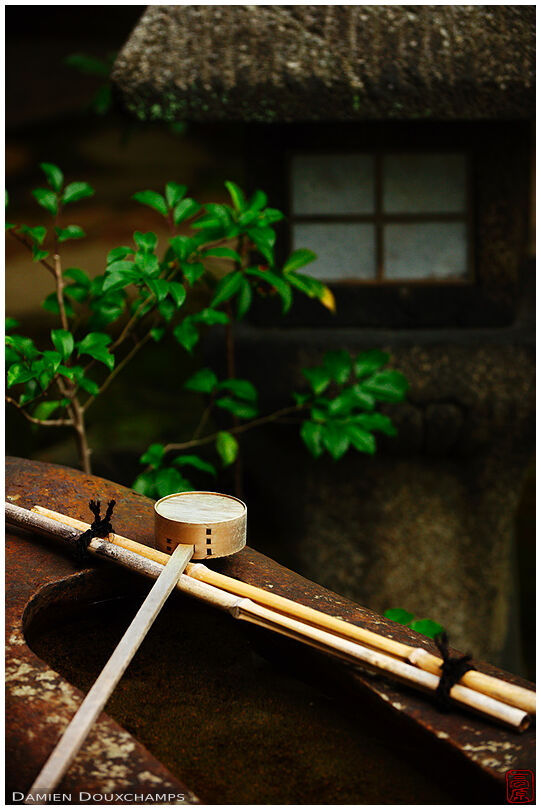 Pine ladle on tsukubai water basin in the Namikawa cloisonne museum garden, Kyoto, Japan