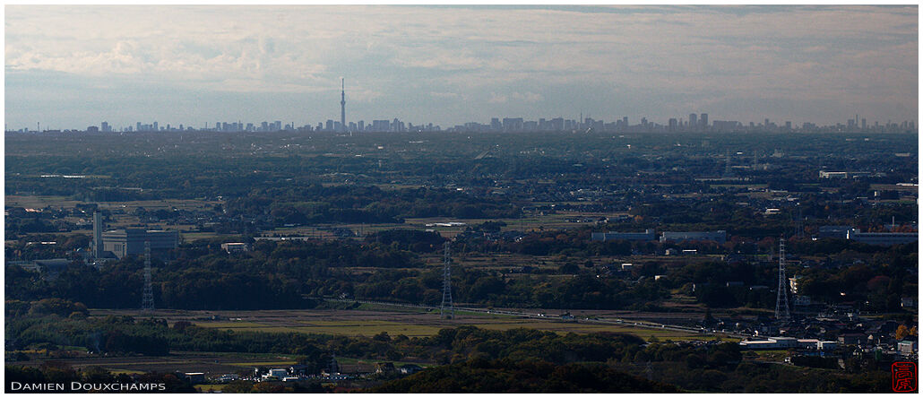 Tokyo and the Skytree tower as seen from mount Tsukuba, Ibaraki, Japan