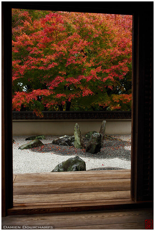 Reaching the modern rock garden of Ryogin-an and its impressive autumn foliage, Kyoto, Japan