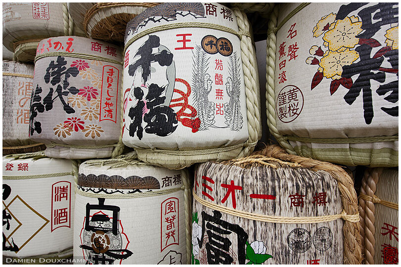 Wall of large sake barrels in Matsuno shrine, Kyoto, Japan