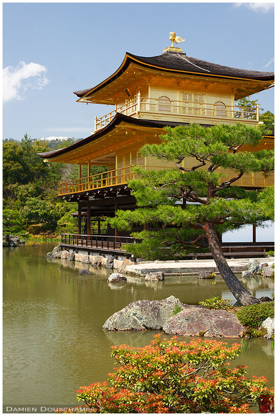 The golden pavilion, Kyoto, Japan