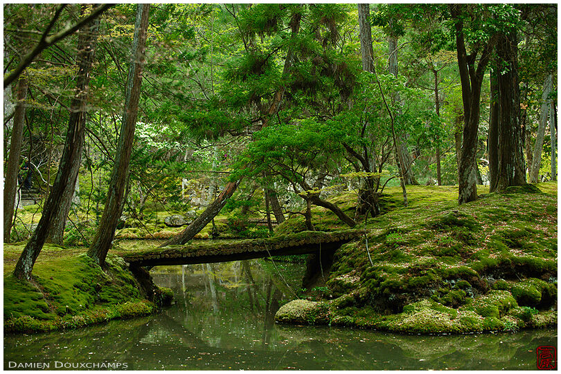 Bridge in the moss garden of Saiho-ji temple, a UNESCO World Heritage site of Kyoto, Japan