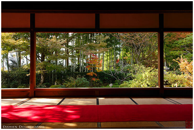 Early autumn colours on a sunny day in Hosen-in temple, Kyoto, Japan