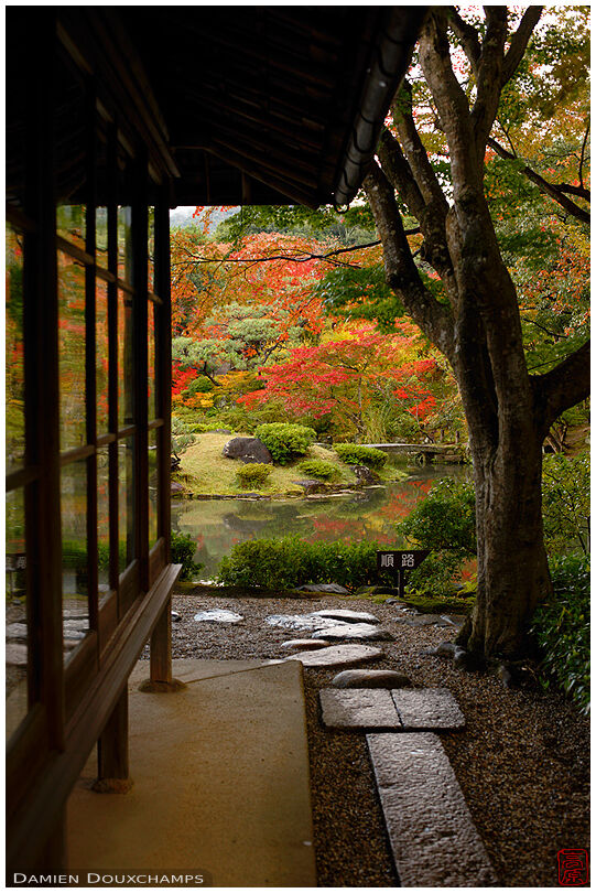 Autumn colors reflecting on old building windows in the Isui-en garden, Nara, Japan