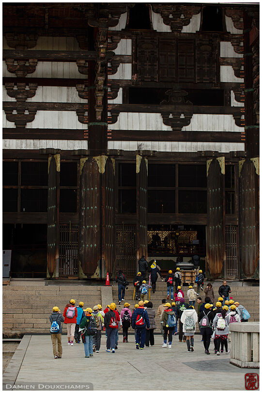 Children on a school trip visiting Todai-ji temple, Nara, Japan