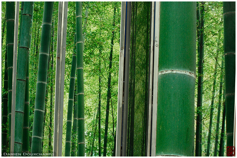 Construction site fence with bamboo photos, Kyoto, Japan