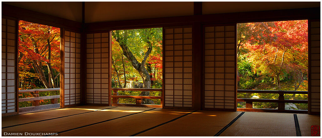 The hall of Hokyo-in temple with a view on its amazing autumn colours, Kyoto, Japan