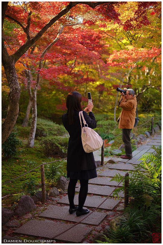 Two photographers, one autumn atmosphere in Hōkyō-in temple, Kyoto, Japan