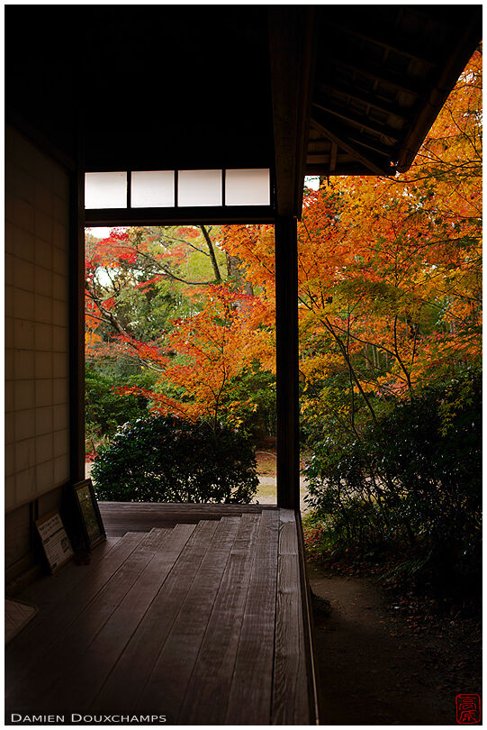 Autumn colors in the little known Takiguchi-dera temple, Arashiyama, Kyoto, Japan