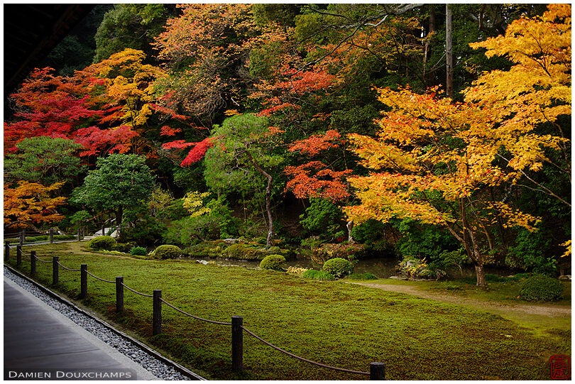 Moss garden and autumn colors, Nanzen-in temple, Kyoto, Japan
