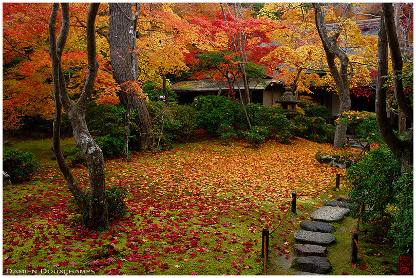Stepping stones and autumn colors in a moss garden of the Okochi-sanso villa, Kyoto, Japan