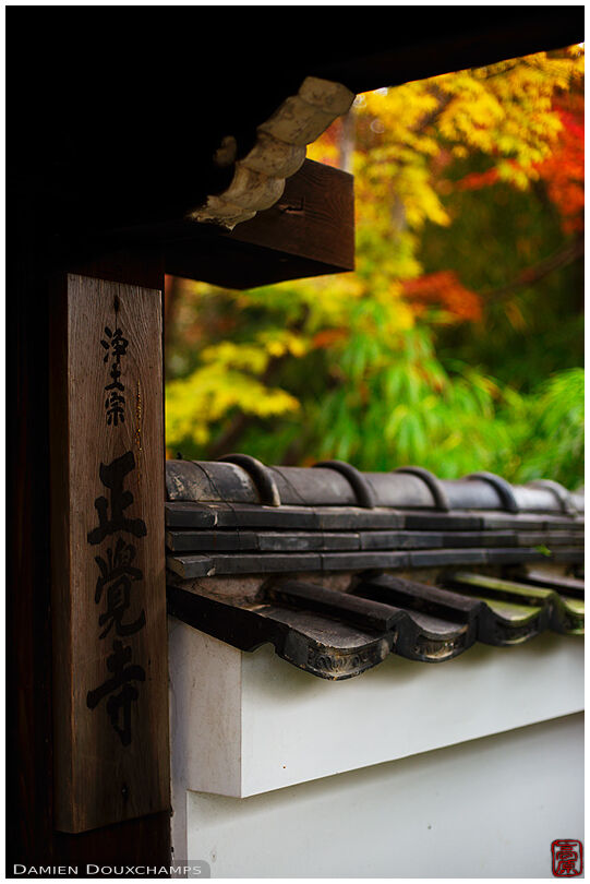 Wooden temple nameplate and autumn foliage, Shokaku-ji, Kyoto, Japan