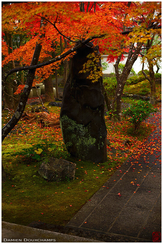 Dark standing stone and autumn colors, Shōkaku-ji temple, Kyoto, Japan