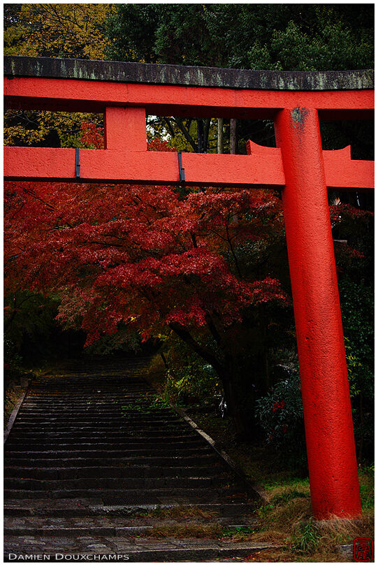 Red torii gate over dark stairs, Yoshida shrine, Kyoto, Japan