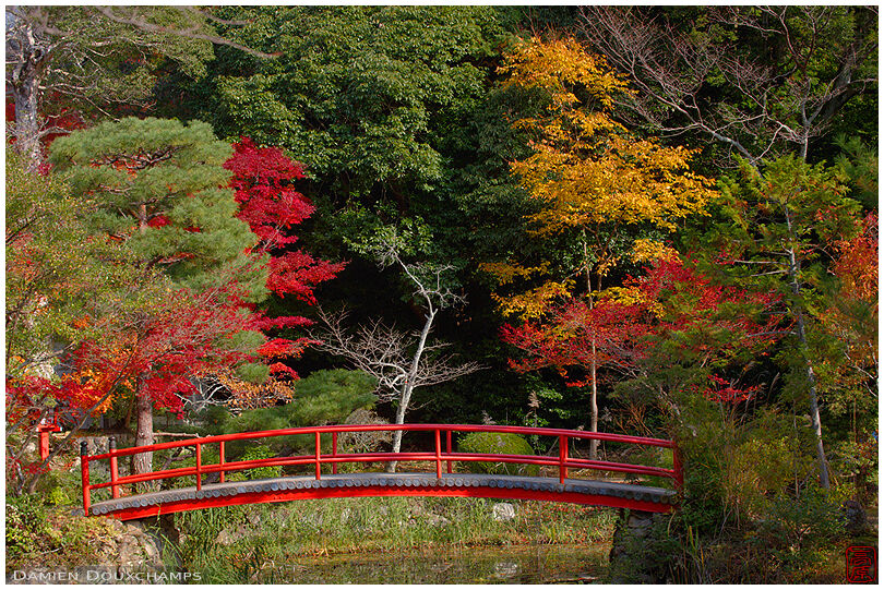 Red bridge and autumn colours, Oharano shrine, Kyoto, Japan