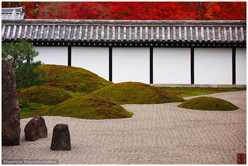 Japanese moss and rock garden surrounded by red autumn colours in Tofuku-ji temple, Kyoto, Japan