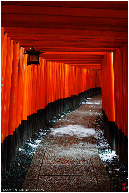 Path of the Thousand Torii in winter, Fushimi Inari shrine, Kyoto, Japan